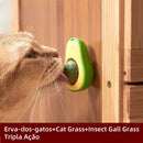 Abacate De Brinquedo Para Gatos Com Catnip Erva Gato Natura